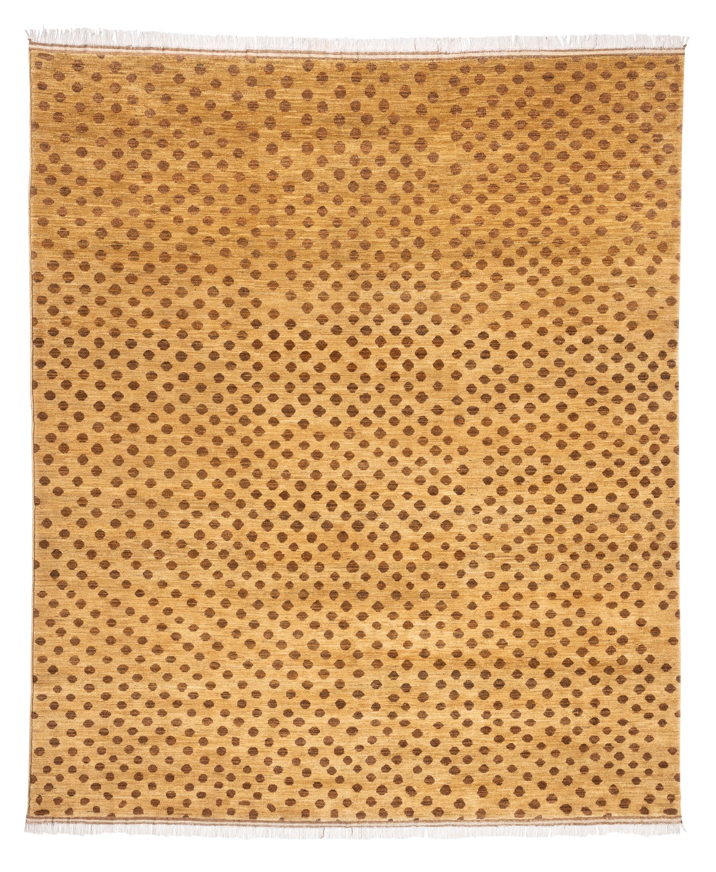 10' x 12'2"